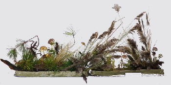 2017-09-24 Willkommen EOTA bearbx 2017-09-24 Willkommen EOTA bearbx