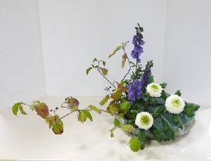 2017-09-27 EOTA Farbschema Moribana 2017-09-27 EOTA Farbschema Moribana