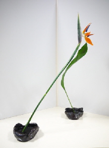 2017-09-28 EOTAHana-mai 2017-09-28 EOTAHana-mai