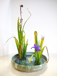 2017-09-29 EOTA Hagumi Spät-Sommer 2017-09-29 EOTA Hagumi Spät-Sommer