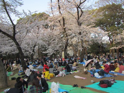 2019-03-27 Tokyo Ueno Park