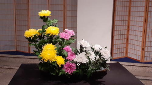 Traditionelles Chrysanthemen Arrangement
