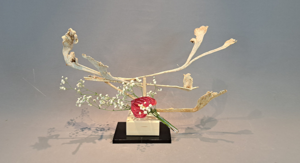 Ohara Zokei Ikebana