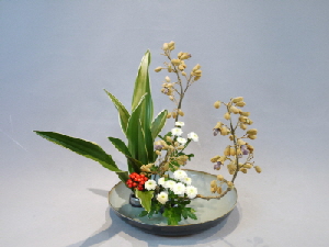 Ohara Ikebana Farbschema Moribana
