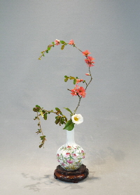 Ohara Ikebana Shohinka