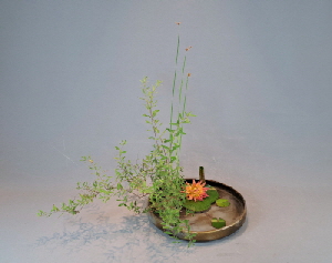 Ohara Ikebana trad Landschaft Spirea