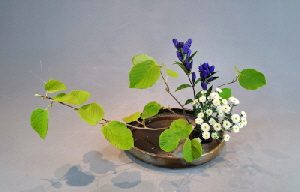 Ohara Ikebana Moribana wasserreflektierend