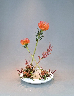 Ohara Ikebana Hana-kanade
