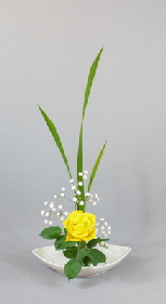 Ohara-Ikebana Hana-isho aufrecht