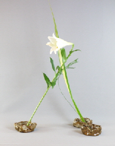 Ohara-Ikebana Hanamai