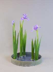 Ohara-Ikebana Traditionelles Landschafts Moribana